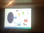 First Stakeholder meeting (28-29 October 2014, Lisbon)