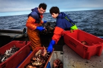 Calum Greenhalgh and his son Jack working aboard their boat 'Mary D'.  Calum and his wife Tracey own and run the 'Fresh from the Sea' Fish Shop in Port Isaac, north Cornwall