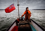 Pete Miles, fisherman, chef and owner of Storm Fish Restaurant and Dorset Oysters in Poole, aboard his boat 'Esperance' in Poole Harbour