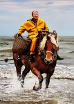 ?Xavier Vanbillemont is aan het vissen met zijn paard Byron.  Hij is een van de twaalf garnalenvissers te paard die Oostduinkerke nog rijk is