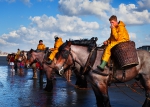 Landscapes of Fishing
