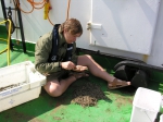Editie 2007