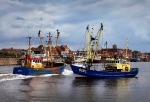 Trawlers in the Oostende harbour