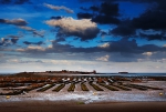 Saint-Vaast-la-Houge