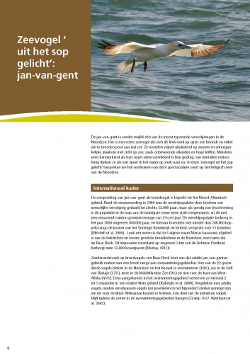 Zeevogel 'uit het sop gelicht': Jan-van-gent Zeevogel 'uit het sop gelicht': Jan-van-gent
