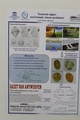 Poster practical exercise