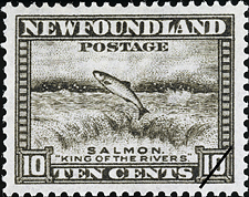 Newfoundland Postage Stamp (1932): Salmon, "King of the rivers"