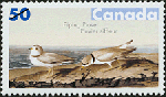 Canadian Postage Stamp (2005): Piping Plover, author: National Archives of Canada