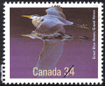 Canadian Postage Stamp (1986): Great Blue Heron, author: National Archives of Canada