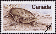 Canadian Postage Stamp (1979): Eastern Spiny Soft-shelled Turtle, Trionyx spinifera, author: National Archives of Canada
