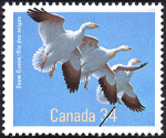 Postage Stamps - Canada and Newfoundland