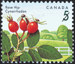 Postage Stamps - Canada and Newfoundland