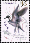 Canadian Postage Stamp (1995): Northern Pintail, author: National Archives of Canada
