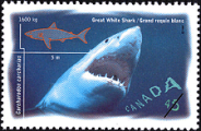 Canadian Postage Stamp (1997): Great White Shark, Carcharodon carcharias, author: National Archives of Canada