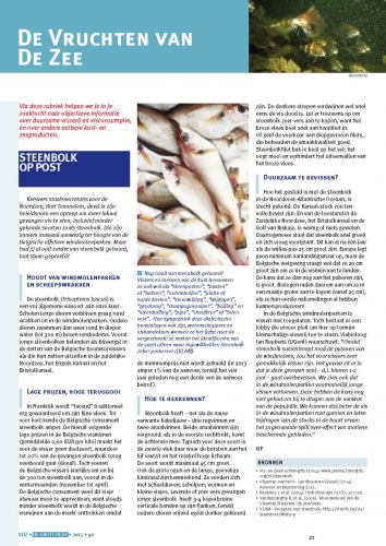 De vruchten van de zee: Steenbolk op post De vruchten van de zee: Steenbolk op post