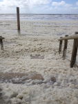 Foam on the beach of Hardelot, 19 May 2015 (France)