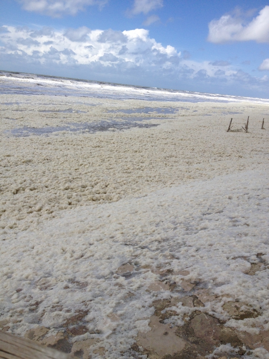 Foam on the beach of Hardelot, France (19 May 2015)