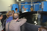 2015.06.10 Vlaams Aquacultuurplatform: Maricultuur op de Noordzee
