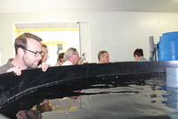 2015.06.10 Vlaams Aquacultuurplatform: Maricultuur op de Noordzee