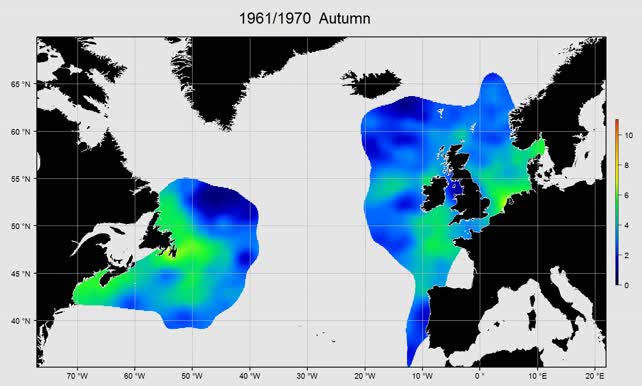 Small copepods autumn