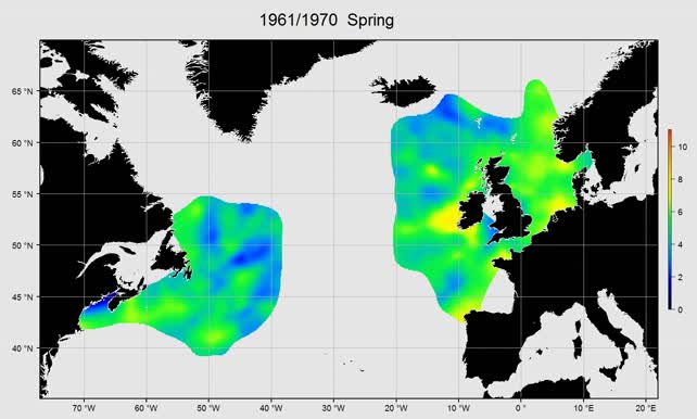 Small copepods spring