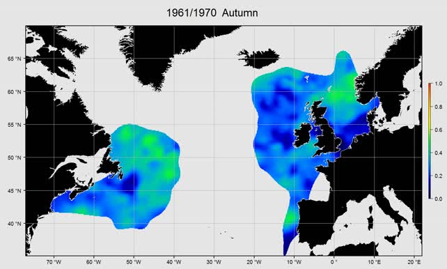 Large to small copepod ratio autumn