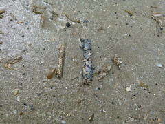 foto 107522