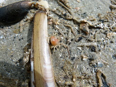 foto 107524