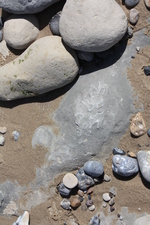 Fossielen zoeken bij Cap Blanc-Nez onder leiding van geoloog Hans Pirlet van het VLIZ (2015.04.28).