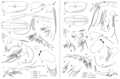 Ostracoda (seed shrimp)
