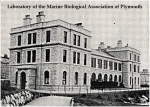 Plymouth Marine Lab in 1908.