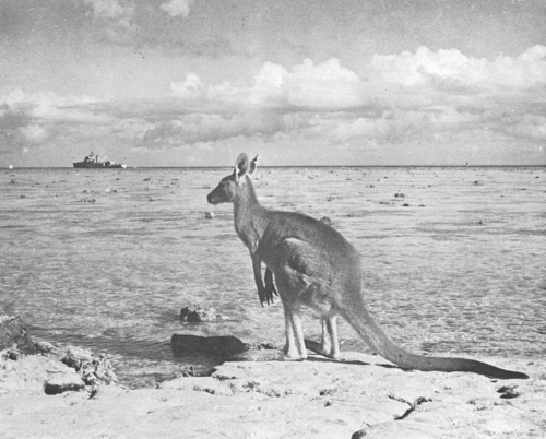 Heron Island, Australië