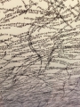 All fish names from WoRMS in an impressive artwork