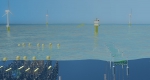 Simulation for the North Sea study site
