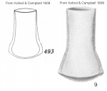 Amplecetellopsis angularis description drawings