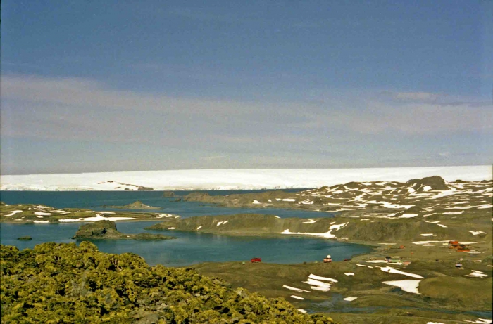 a view over the Maxwell Bay on the glacier of Nelson Island