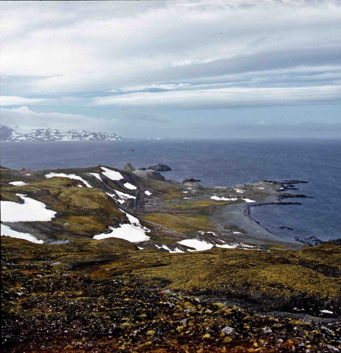 a view to the Maxwell Bay