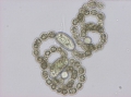 Anabaena spiroides