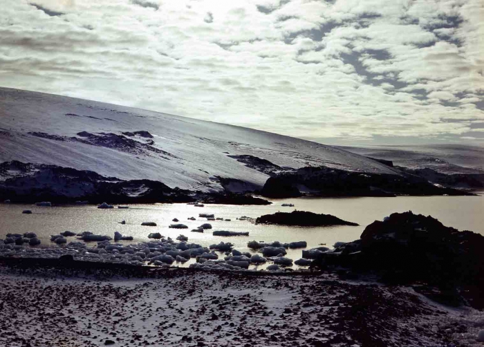 Glacier of King George Isl. close to Nebles Point