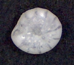 JPG file