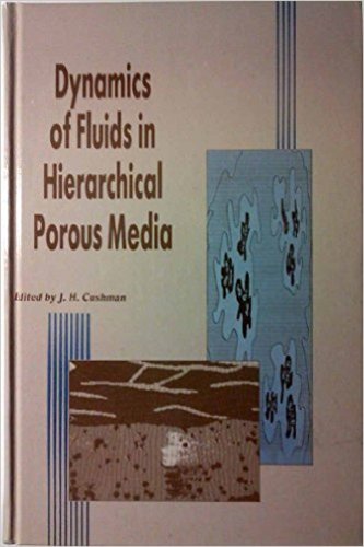 Dynamics of fluids in hierarchical porous media