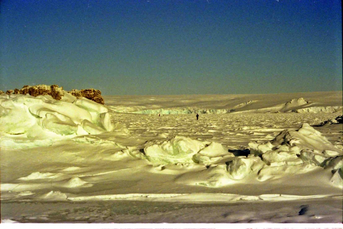 Pack ice in the Fildes Strait 2