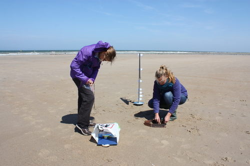 Monitoring campaign aeolian sand transport