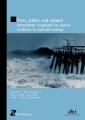Piers, jetties and related structures exposed to waves:  Guidelines for hydraulic loadings