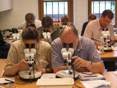 Cursus determineren mosdiertjes