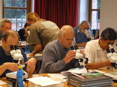 Cursus determineren mosdiertjes