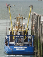 BOU 12 Maria Magdalena ex A 149 Jim