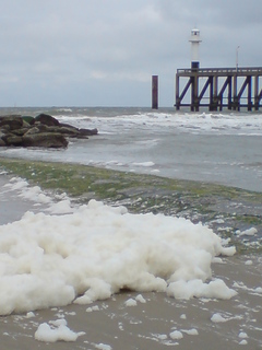 De lente zit in de zee