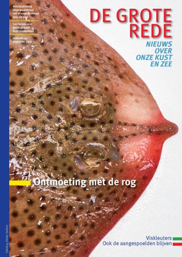 De Grote Rede 44 De Grote Rede 44