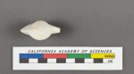Adelosina striata d'Orbigny, 1826